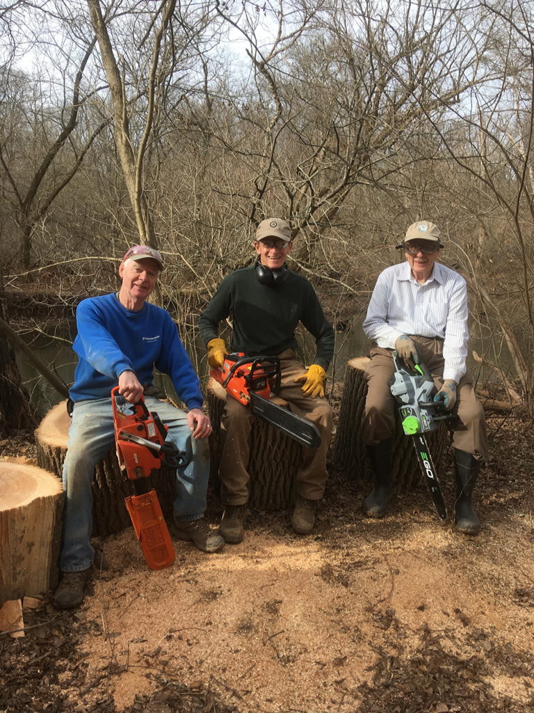 Cutting fallen trees