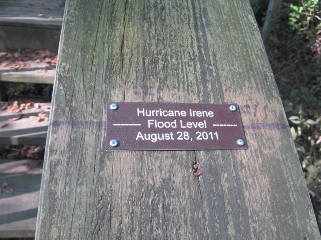 Hurricane Irene, 2011